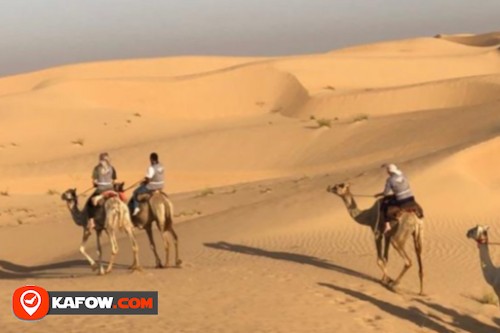 Arabian Desert Camel Riding Centre
