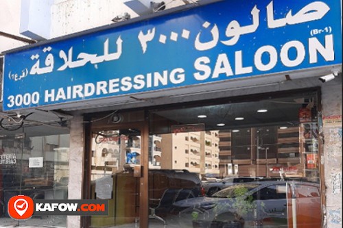 3000 HAIRDRESSING SALOON