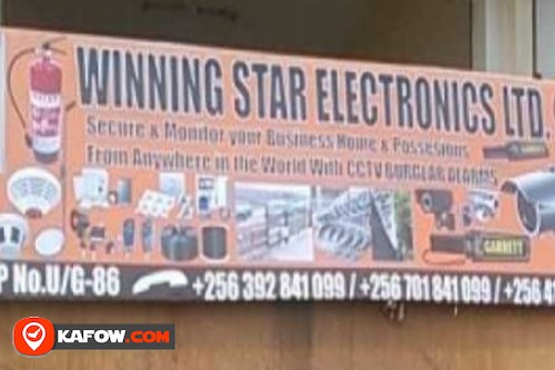 Winning Star Electronics