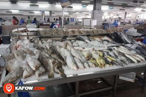 Fish Market Feeding Station