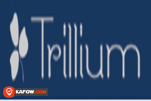 Trillium Engineering Consultants