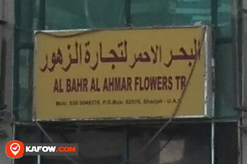 AL BAHR AL AHMAR FLOWERS TRADING
