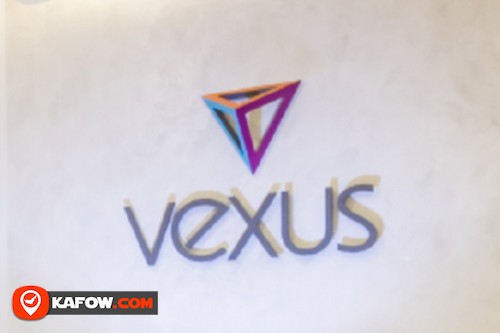 VEXUS GROUP