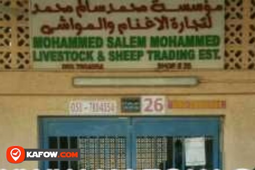 Mohammed Salem Mohammed livestock & sheep Trading