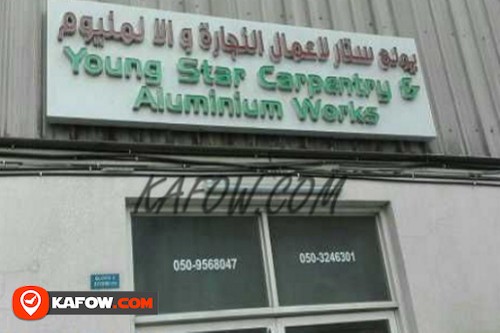 Young Star Carpentry & Aluminium Works