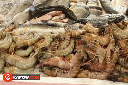 سوق جميرا للأسماك