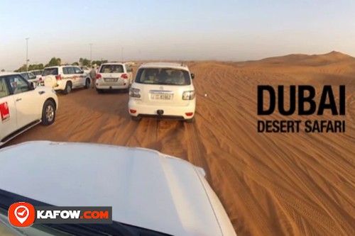 Dubai Desert Safari with Lunch | Afternoon| Dune Buggy Safari Dubai