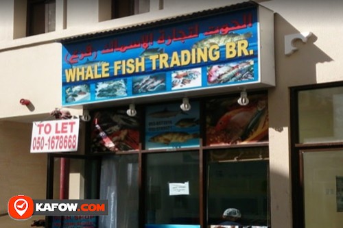 Whale Fish Trading Br.