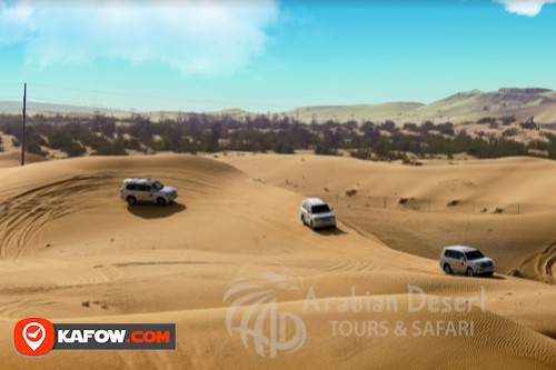 Arabian Desert Tours & Safari