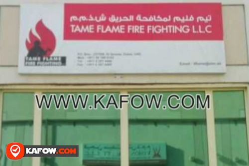 TAME FLAME FIRE FIGHTING LLC