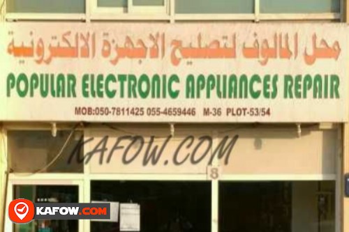 Popular Electronics Appliances Repair