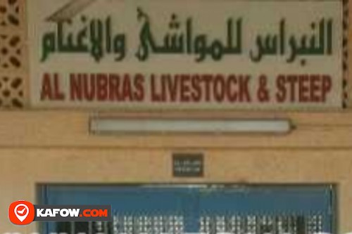 Al Nubras LiveStock & Steep