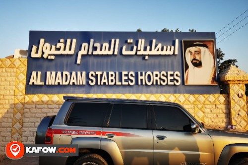 Al Madam Stables Horses