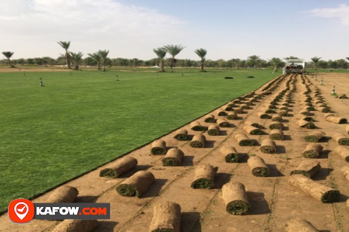 Al-Wadi Company for Agricultural Works