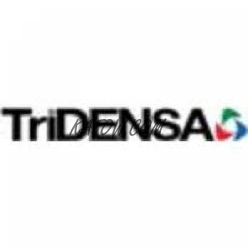 Tridensa FZ LLC 