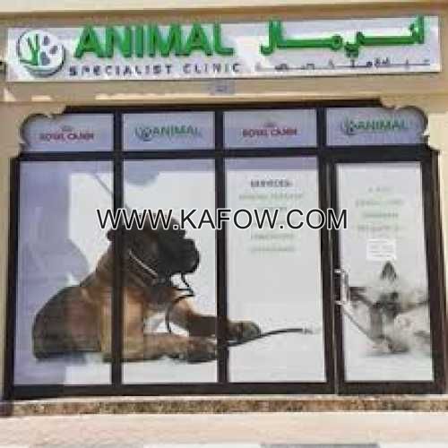 Animal Specialist Clinic   