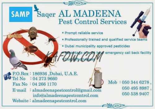 Al Madeena Pest Control Services 