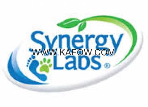 Synergy Labs 