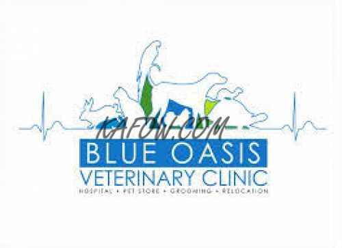 Blue Oasis Veterinary Clinic - Kafow UAE Guide - Kafow UAE Guide