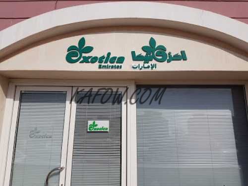 Exotica Flower Shop 
