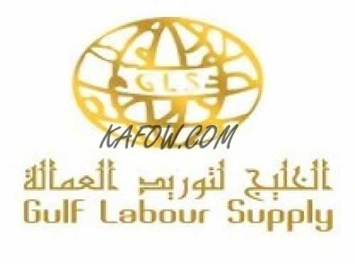 Gulf Labour Supply