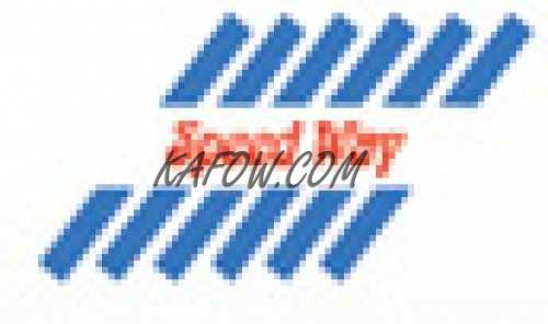 Speedway Auto Spare Parts Tr LLC. 