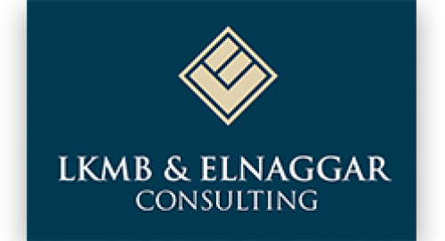 LKMB & ELNAGGAR CONSULTING 