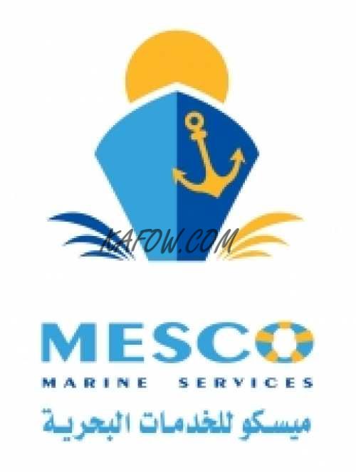 Mesco Marine Services 