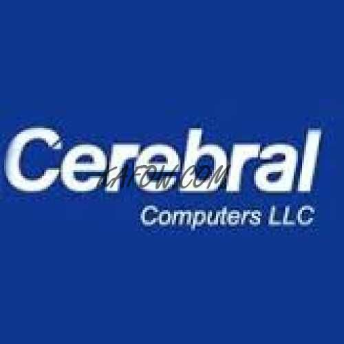 Cerebral Computers LLC 