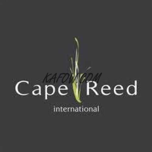 Cape Reed LLC 