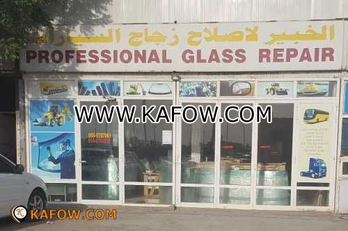 Professional Glass Repair 