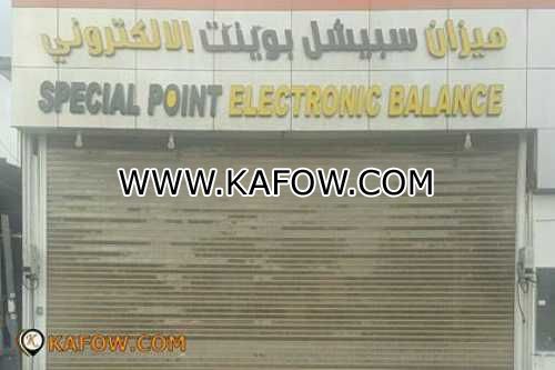 Special Point Electronic Balance  