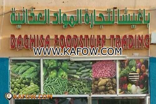 Baghisa Food Stuff Trading  