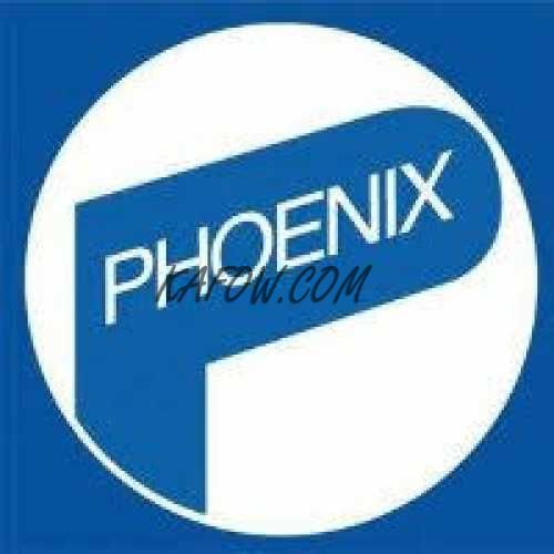 Phoenix Trading Co LLC  