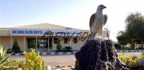  Abu Dhabi Falcon Hospital 