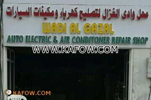 Wadi Al Gazal Auto Electric & Air Conditioner Repair Shop  