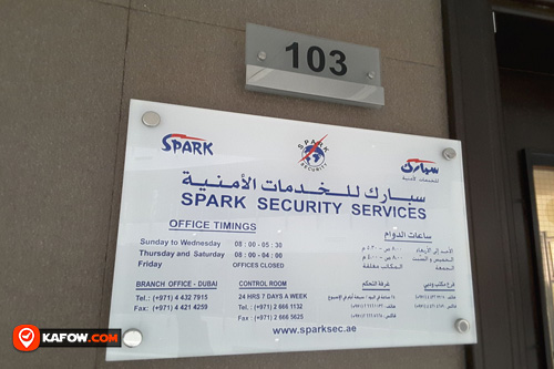 Spark Security Service