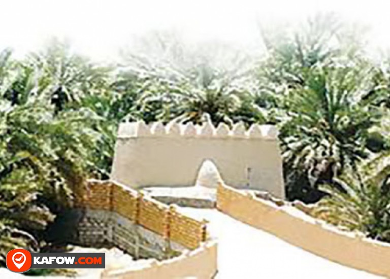 Qattara Oasis