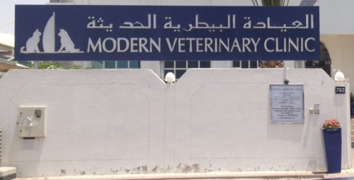 Modern Veterinary Clinic   