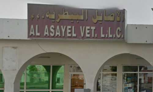 Al Asayel Vet    