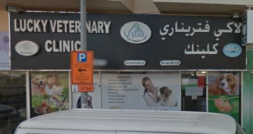 Lucky Veterinary Clinic   