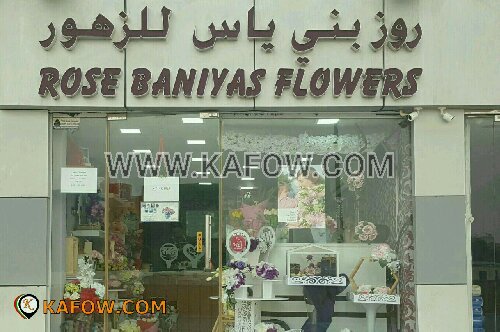 Rose Baniyas Flowers 